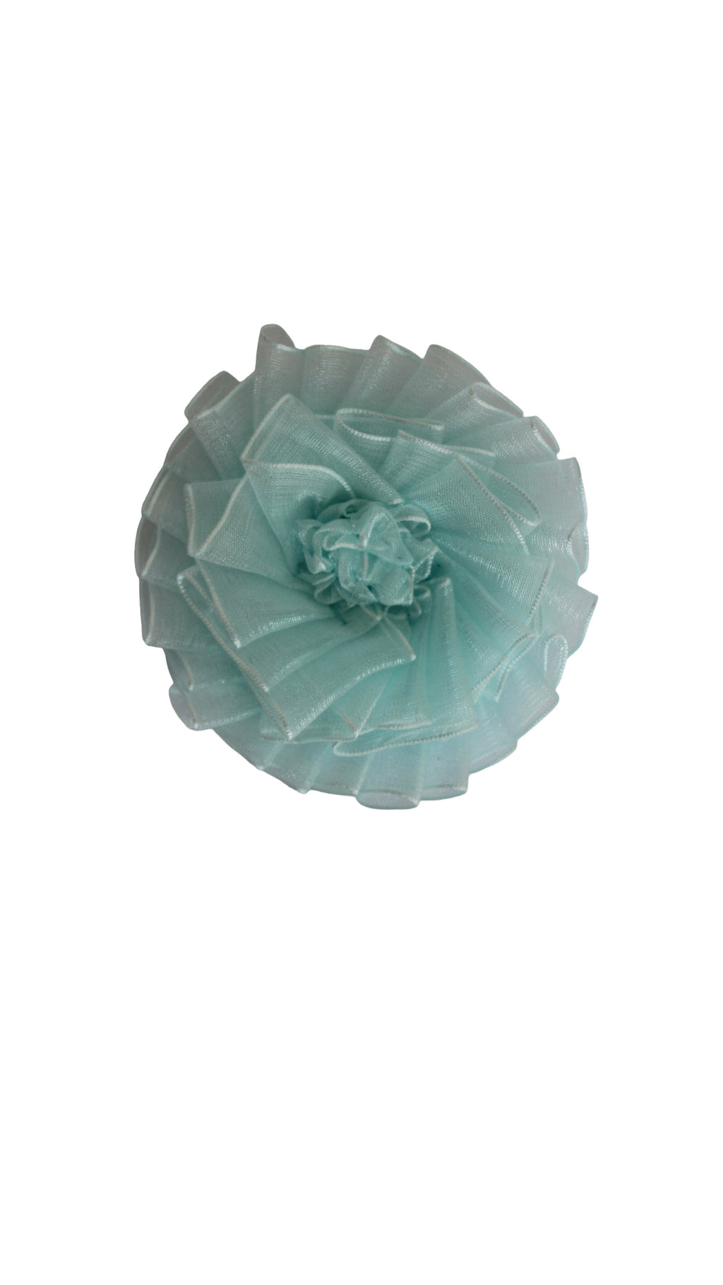 Paloma Rosette