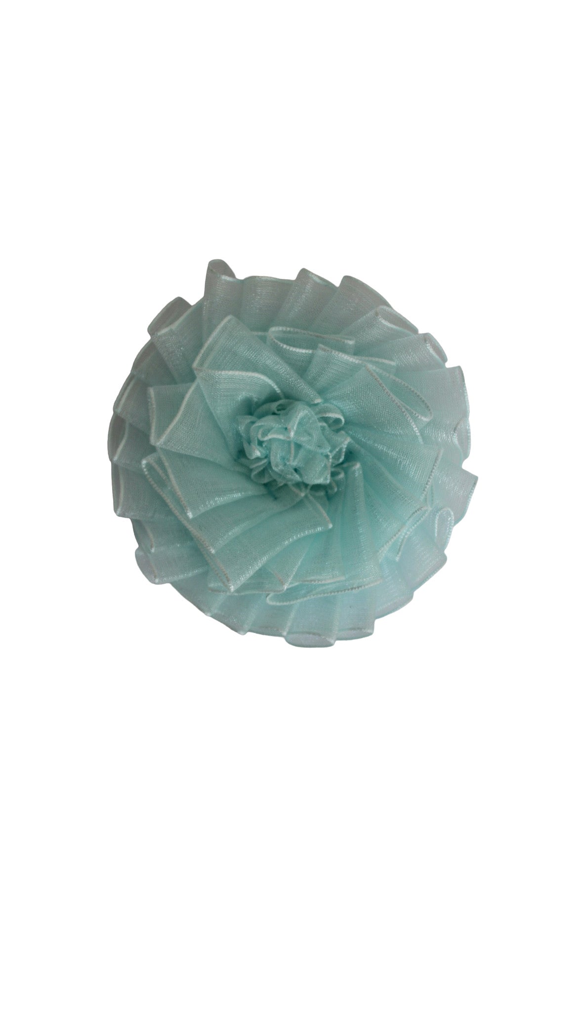 Paloma Rosette