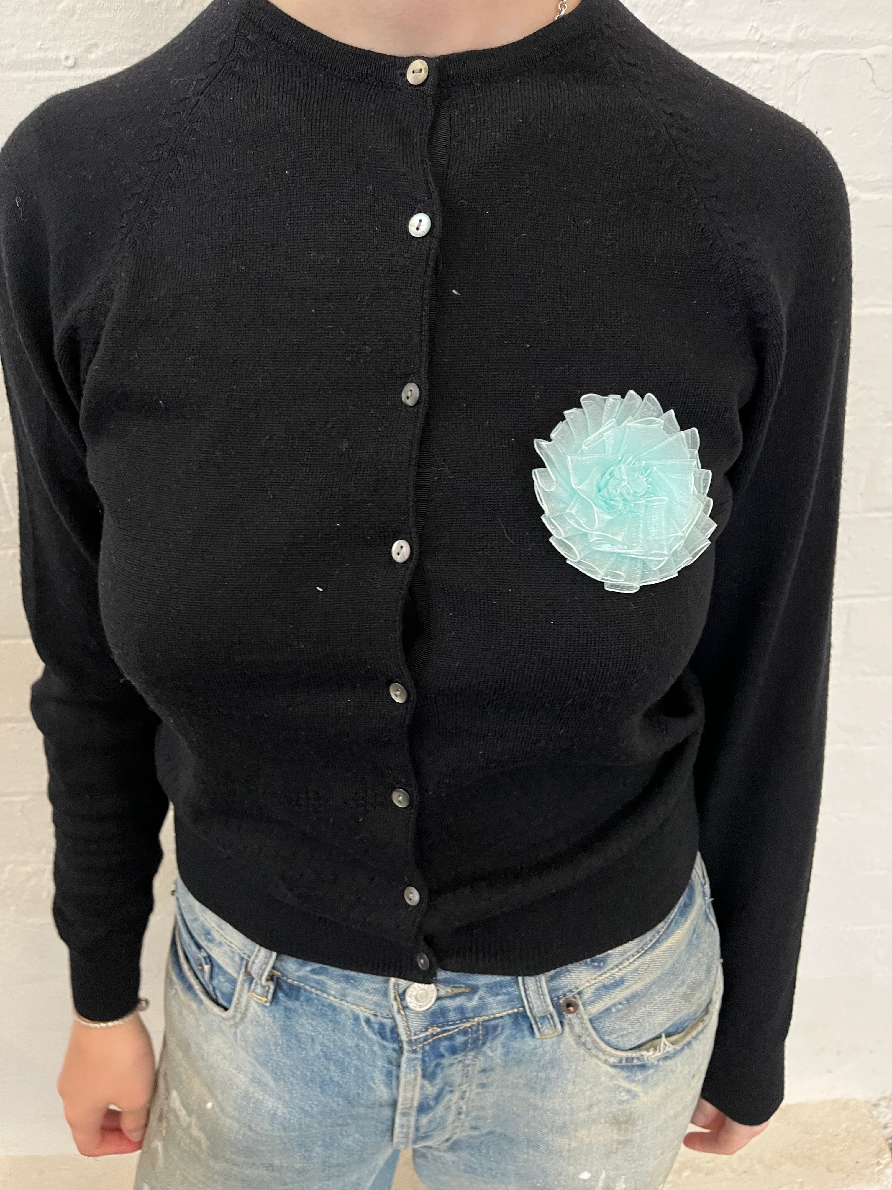 Paloma Rosette